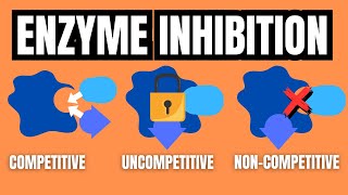 ENZYME INHIBITION EXPLAINED