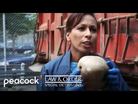 Playground Discovery Leads to Cold Case Investigation | Law & Order: SVU