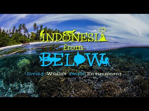 Indonesia from Below | Official Trailer [4K] | SZtv