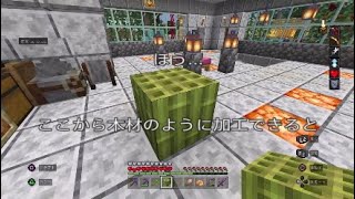 【PS4統合版マイクラ】旅路と物語のアップデート、既存ワールドで今やれること