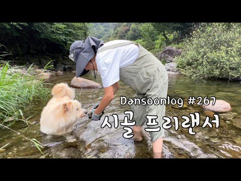 SUB 단순로그267 도시 직장인들은 모르는 시골 프리랜서 일상 vlog