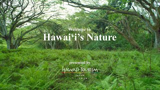 Welcome to Hawai‘i's Nature～癒しの世界へ～