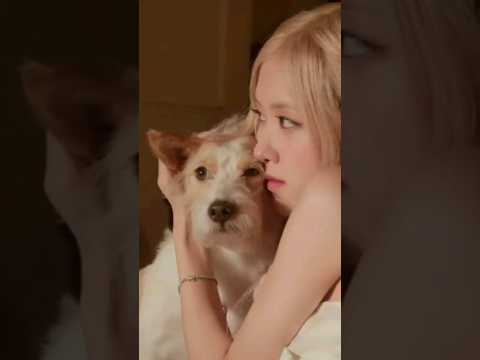 Rosé & Hank Season's Greetings Clips 🌹🐶 🎄☃️  #rosé #rose #blackpink