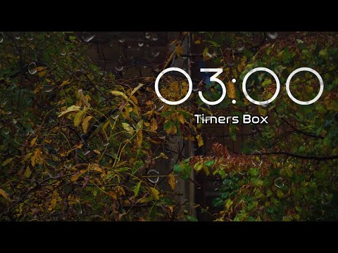 3 Minute Heavy Autumn Rain Timer with Alarm ⏰ Relaxation, Focus, Sleep