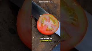 He Can Sharpen Any Knife to Perfection – The Secret Technique You Won't Believe!