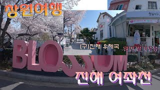 4K 진해 벚꽃여행 여좌천 테마 여행 鎮海 桜旅行 余佐川 テーマ旅行 (日本語字幕) ビジュエル