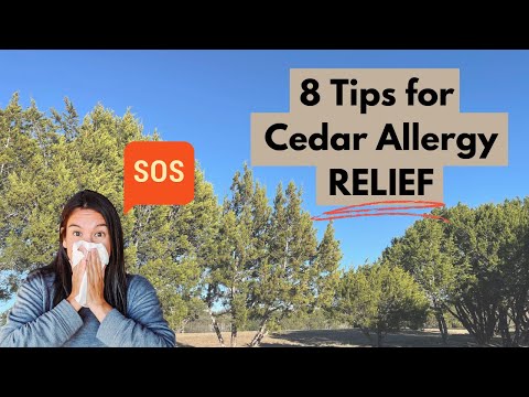 Protect Yourself From Cedar Pollen With These Products!