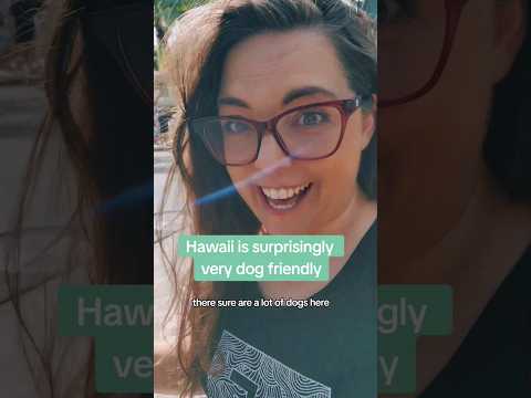 Hawaii is surprisingly pet friendly!