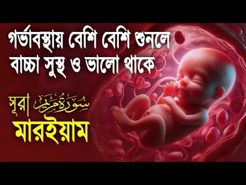 সূরা মার‌ইয়াম l গর্ভাবস্থায় বেশি বেশি করে শুনুন l SURAH MARYAM l Best Recitation By Alaa Aqel