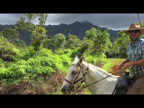 Silver Falls Ranch Horseback Ride on Kauai