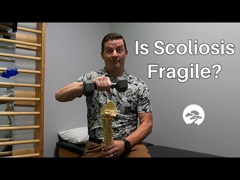 Is the Scoliosis Spine Fragile?