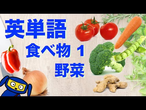 英単語　聞き流し　食べ物１　野菜　英語　リスニング