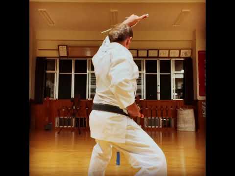 “Chikinshitahaku nu Sai” #信武舘 #古武道 #karate #shimbukan #okinawa #空手 #kobudo #沖縄 #