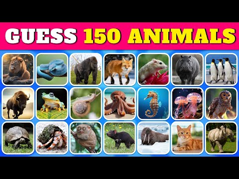 Guess 150 ANIMALS...! 🐶🐱 | Guess The Animal in 5 Seconds | Quiz Rainbow