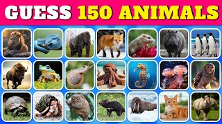 Guess 150 ANIMALS...! 🐶🐱 | Guess The Animal in 5 Seconds | Quiz Rainbow