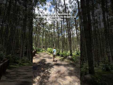 CONHEÇA MONTE VERDE, MG - O QUE FAZER e ONDE SE HOSPEDAR