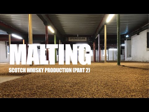 Malting - Steeping, Germination, Kilning & Peating