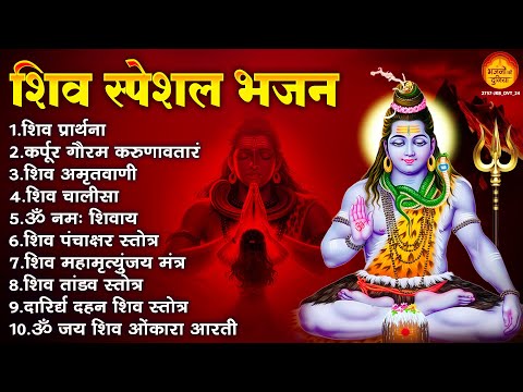 शिव स्पेशल भजन : ॐ नम शिवाय, कर्पूर गौरं करुणावतारम्,शिव चालीसा, शिव अमृतवाणी व आरती