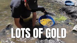 New Gold Panning Technique?!?  (it actually works)