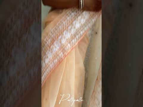 Patlipallu Rich Embroidered Work Organza Saree