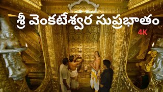 Suprabhatam | Venkateswara Swamy | సుప్రభాతం | Trendy Trends @MK