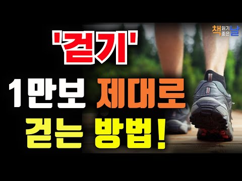 올바른 걷기 운동법, 1만 보를 한 번에 걸을 필요는 없다, 활동, 피로, 휴식의 사이클에서 벗어나자, 책읽어주는여자 오디오북 책읽어드립니다 korean audiobook