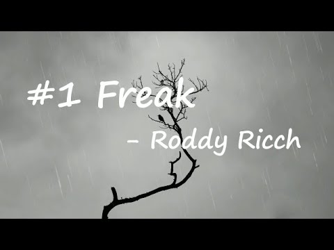 Roddy Ricch – #1 Freak Lyrics