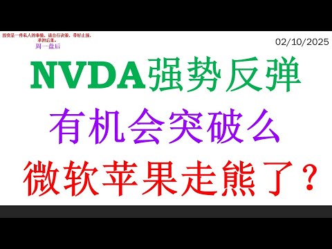 NVDA强势反弹, 有机会突破么。微软苹果走熊了？