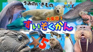 水族館へ行こう！5【子供向け 海のいきものアニメ】海の生き物 お魚さんたちが大集合！イルカ サメ シャチ など人気の生き物からウミイグアナやウミヘビもいるよ★17種類の名前を覚えよう【知育動画】