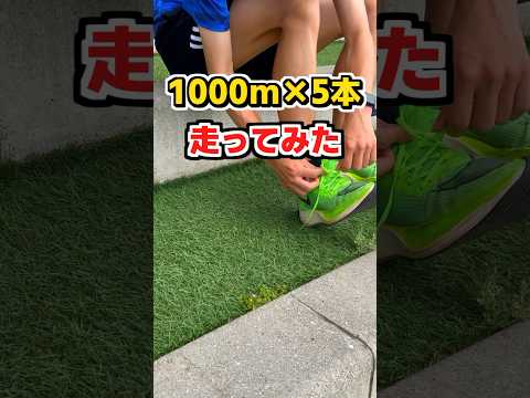 引きこもりランナーが1000m×5本走ってみた【ポイント練習】 #フルマラソン #ランニング初心者 #陸上トレーニング #shorts