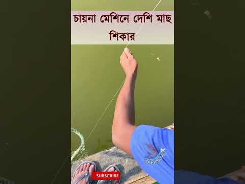 নতুন কৌশলে মাছ শিকার | নদীতে মাছ শিকার | #fishingshorts #amazingfishing #shorts