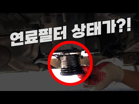 디젤 연료필터 교환시기_캡티바 연료필터 셀프교환