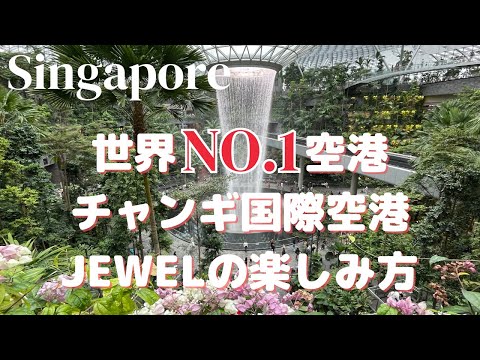 【シンガポール 空港情報】世界NO.1空港に選ばれた チャンギ国際空港＆JEWELの楽しみ方を紹介！