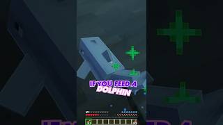 Dolphins in Minecraft Can Lead You to Hidden Treasure Shipwrecks! #minecraft #minecrafttipsandtricks