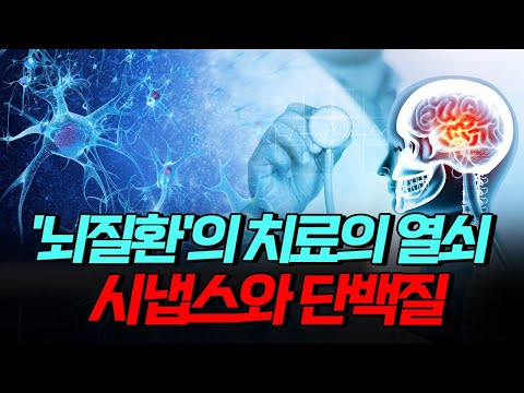 [핫클립] '뇌질환' 치료의 열쇠, 시냅스와 단백질 / YTN 사이언스