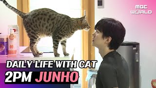 [C.C.] Working out at HOME GYM and playing with cat #2PM #JUNHO