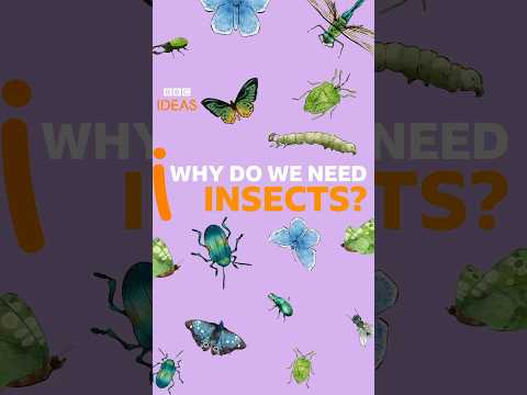 Insects are crucial to life on Earth - here's why #Shorts #Insects #BBCIdeas