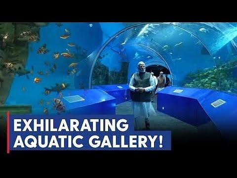 Science city Aquatic Gallery #science #aquarium #ahmedabad