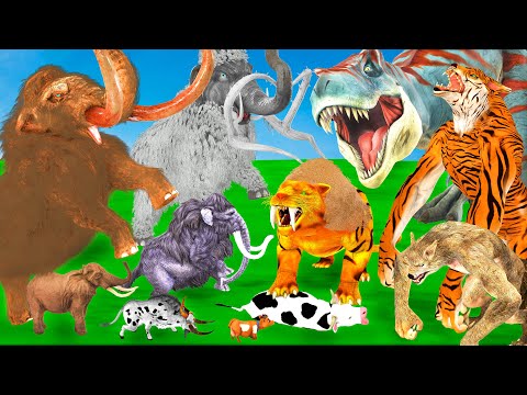 Woolly Mammoth Vs Saber Tooth Tiger Wolf Attack Cow Buffalo Bulls Saved by Mammoth Mastodon VS T-Rex