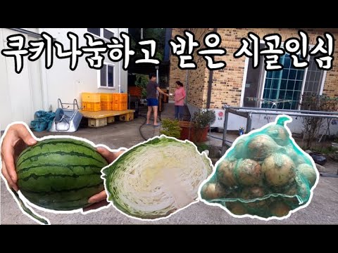 #58 [귀촌 브이로그] 쿠키 나눔하고 받은 것들