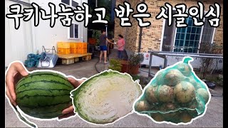 #58 [귀촌 브이로그] 쿠키 나눔하고 받은 것들