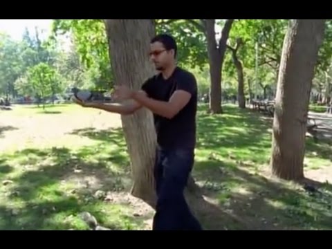 Bringing a Bird Back to Life: Street Magic | David Blaine