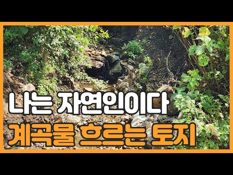 매물번호 746 【작은 토지매매】 서산시 성연면 갈현리 성황산자락 아래에 자리한 계곡물이 졸졸 흐르는 작은 토지매물