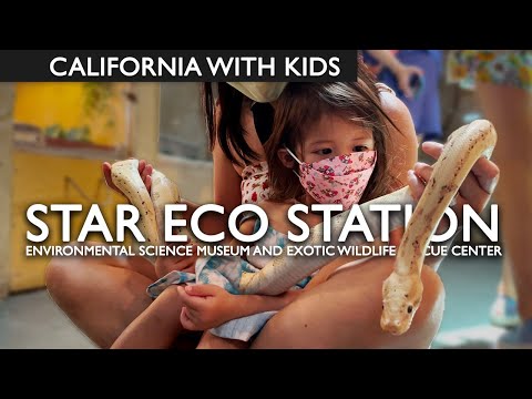 Guided Tour Of Star Eco Station With Kids