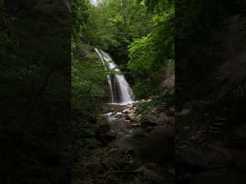 Waterfall in Forest #shorts #relaxingsounds #waterfall Video by Vera Silkina from Pexels