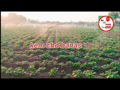 ગુજરાત નું ગામડું 🌿|| gujarat nu gamdu village life Rural life in IndiaGujarat village life vlogs