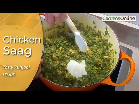 Chicken Saag Recipe - simple to prepare and very tasty