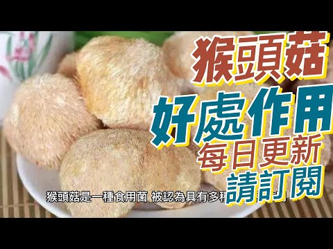 EP155 猴頭菇Lion's Mane Mushroom 的功效與作用 促進消化 調節膽固醇  健