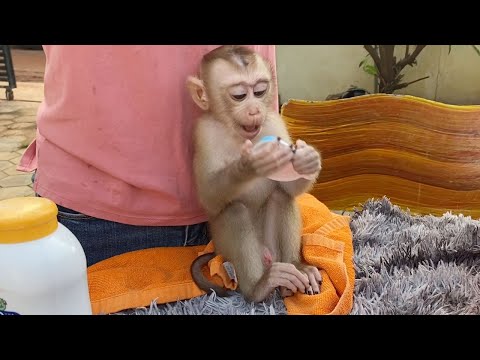 Adorable Baby Boy Sit Wait Mom Wears A New Diaper