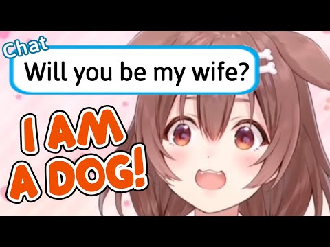 The Many Times Chat Asked Korone to Marry Them [Hololive]